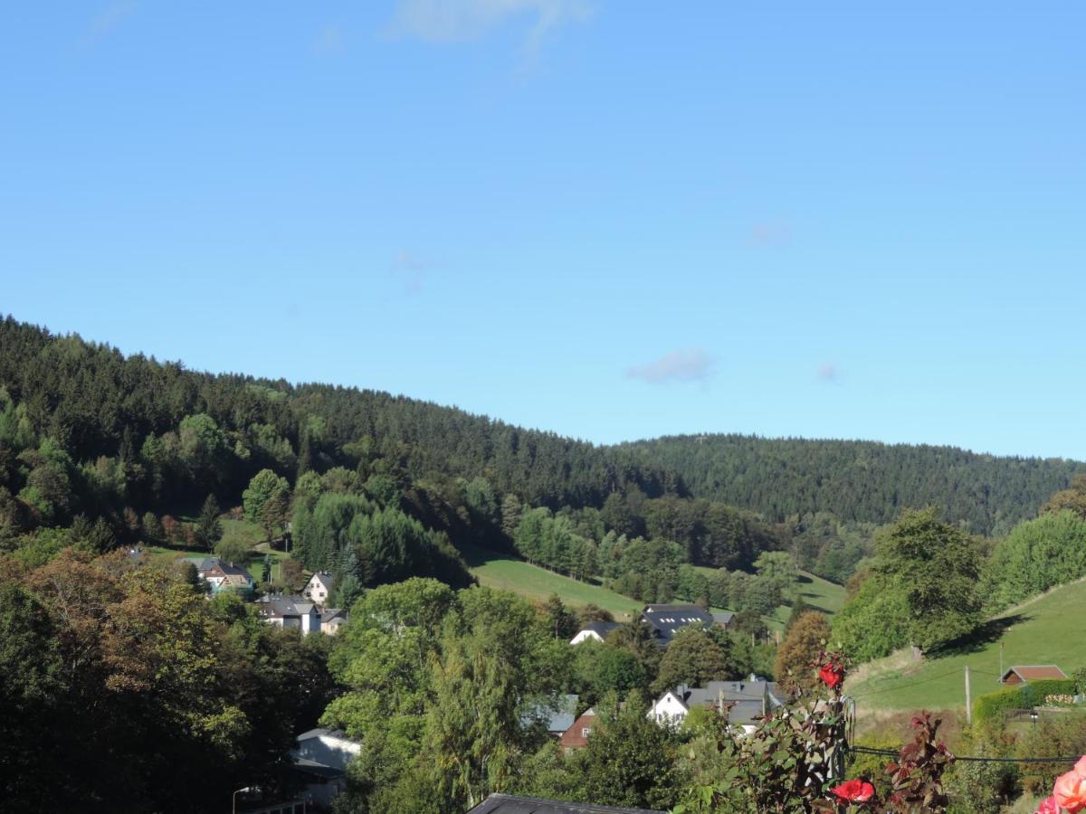 Ferienwohnung Sonnenblick Rittersgrün I Breitenbrunn  Exterior foto